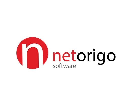 A Netorigo vállalatirányítási rendszer bevezetésének folyamata